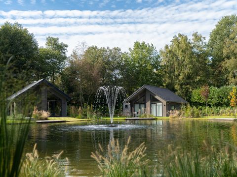 Vakantiepark Latour - Camping Oirschot - Image N°2