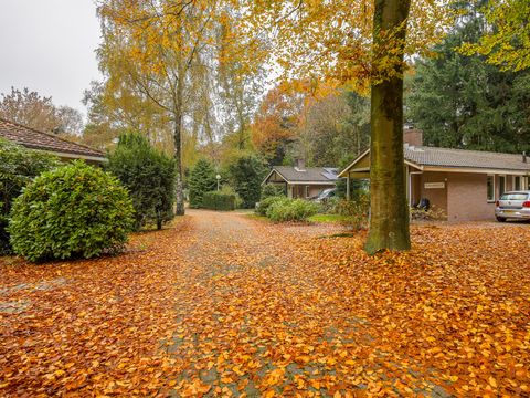 Bungalowpark Het Verscholen Dorp - Camping Harderwijk - Image N°16