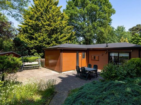 Bungalowpark Het Verscholen Dorp - Camping Harderwijk - Image N°30