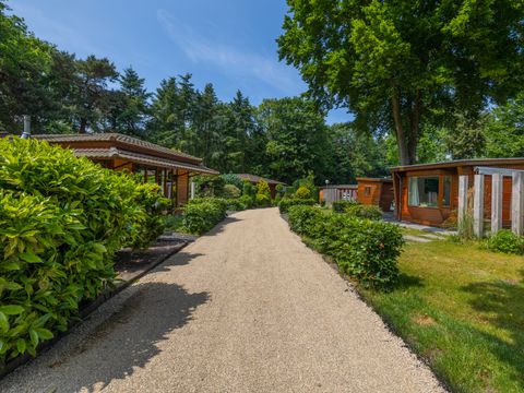 Bungalowpark Het Verscholen Dorp - Camping Harderwijk - Image N°27