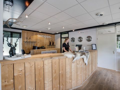 Bungalowpark Het Verscholen Dorp - Camping Harderwijk - Image N°12