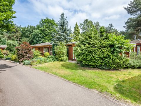 Bungalowpark Het Verscholen Dorp - Camping Harderwijk - Image N°26