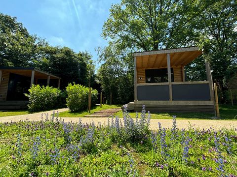 Urban Gardens Gent - Camping Flandre orientale - Image N°9