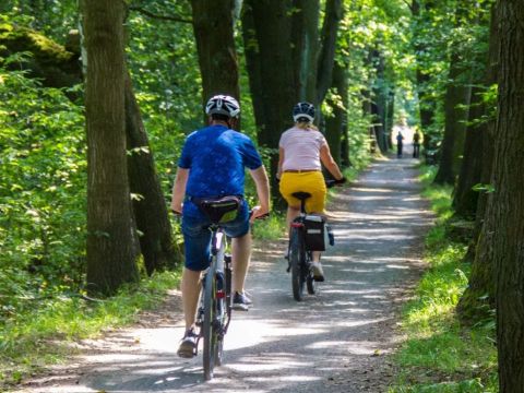 Urban Gardens Gent - Camping Flandre orientale - Image N°2