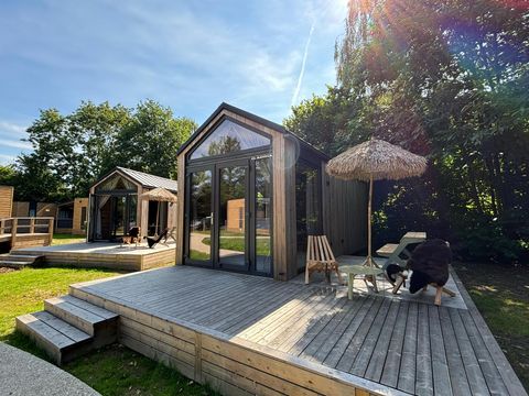 Urban Gardens Gent - Camping Flandre orientale - Image N°10