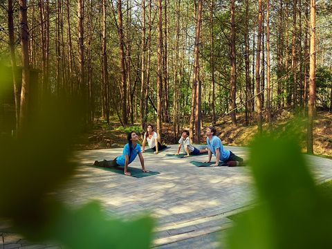 Terhills Resort by Center Parcs - Camping Limburg Belge