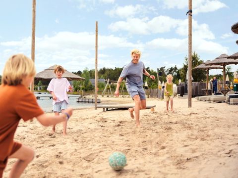Terhills Resort by Center Parcs - Camping Limburg Belge