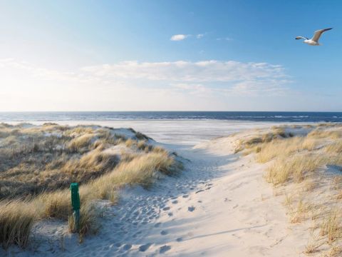 Dormio Nieuwvliet-Bad - Camping Sluis - Image N°30