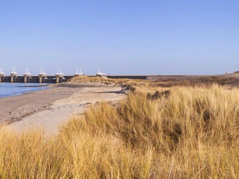 Dormio Nieuwvliet-Bad - Camping Sluis - Image N°31