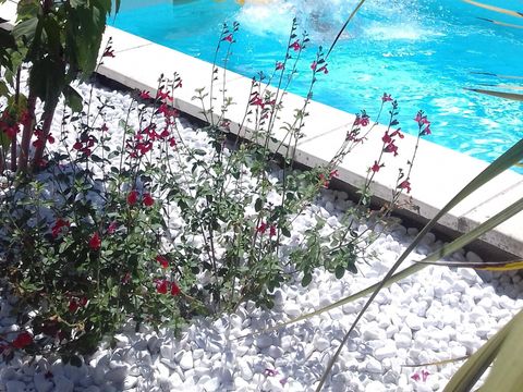 Camping les Landes d'Armagnac - Camping Landes