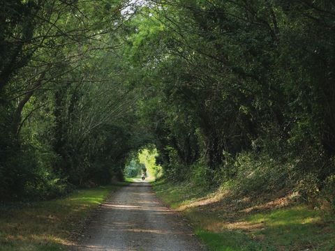 Camping le Petit Bocage - Camping Vendée