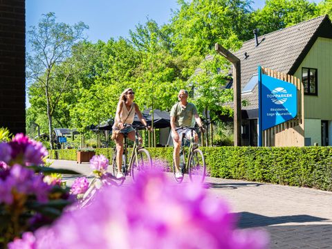 TopParken Résidence Lage Vuursche - Camping Baarn - Image N°3