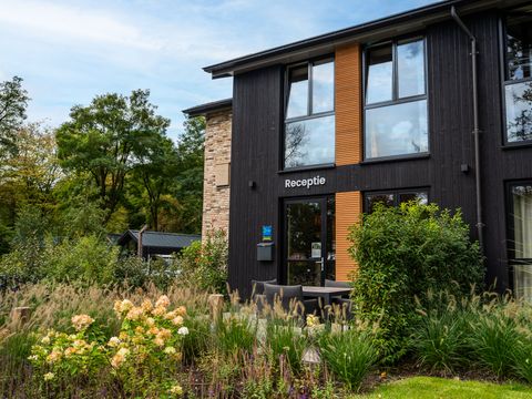 TopParken Résidence Lage Vuursche - Camping Baarn - Image N°5