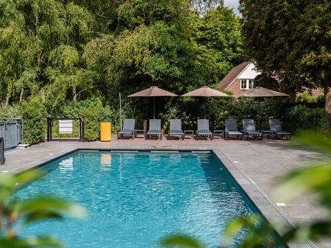 TopParken Résidence Lage Vuursche - Camping Baarn - Image N°10