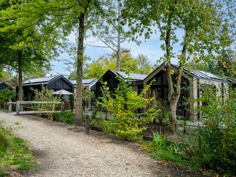 TopParken Résidence Lage Vuursche - Camping Baarn - Image N°31