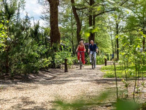 TopParken Résidence Lage Vuursche - Camping Baarn
