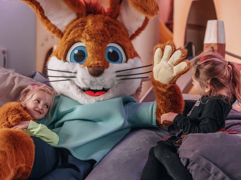 Landal Ferienresort Cochem - Camping Rhénanie-Palatinat - Image N°3