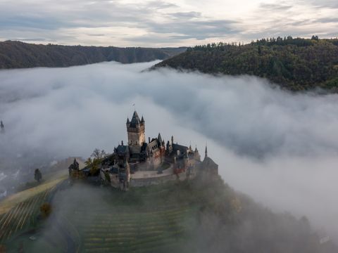 Landal Ferienresort Cochem - Camping Rhénanie-Palatinat