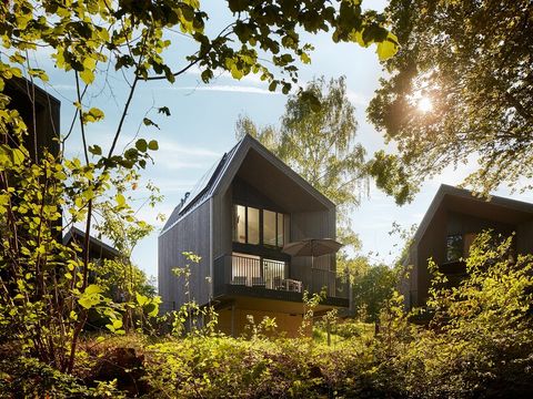 Center Parcs Park Eifel - Camping Rhénanie-Palatinat - Image N°4