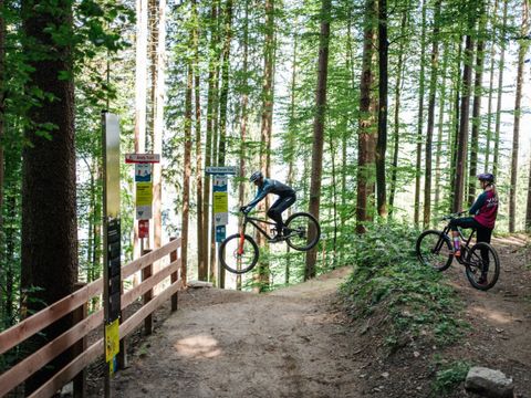 EuroParcs Ossiacher See - Camping Carinthie - Image N°17