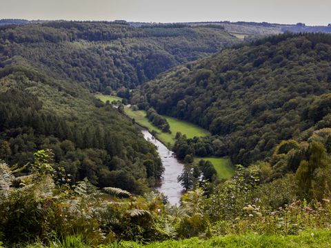 Landal Hillview Resort Grandvoir - Camping Luxembourg - Image N°37