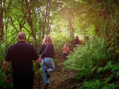 Landal Hillview Resort Grandvoir - Camping Luxembourg - Image N°33