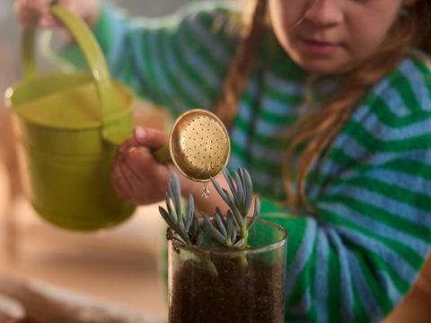 Center Parcs Les Landes de Gascogne - Camping Lot-et-Garonne