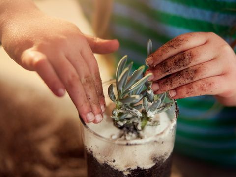 Center Parcs Les Landes de Gascogne - Camping Lot-et-Garonne