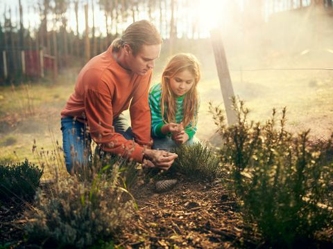 Center Parcs Les Landes de Gascogne - Camping Lot-et-Garonne