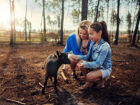 Center Parcs Les Landes de Gascogne - Camping Lot-et-Garonne - Image N°44