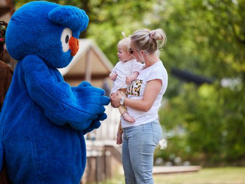 Kampeerdorp de Zandstuve - Camping Hardenberg - Image N°12
