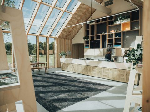 Vakantiepark Ridderstee Ouddorp Duin - Camping Goeree-Overflakkee - Image N°5