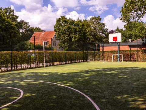 Summio Parc Heihaas - Camping Ermelo