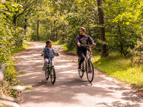 Summio Parc Heihaas - Camping Ermelo