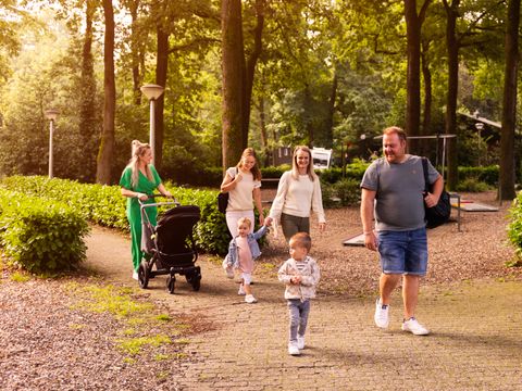 Summio Parc Heihaas - Camping Ermelo - Image N°3