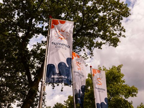 Summio Parc Heihaas - Camping Ermelo - Image N°5
