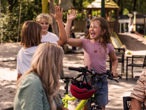 Summio Parc Heihaas - Camping Ermelo