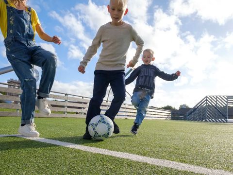 Landal Sallandse Heuvelrug - Camping Wierden