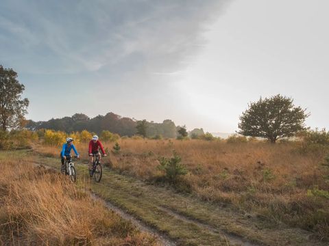 Landal Sallandse Heuvelrug - Camping Wierden