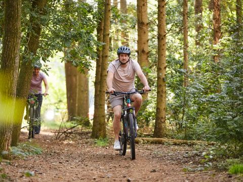 Landal Sallandse Heuvelrug - Camping Wierden