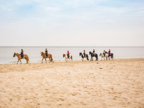 Landal Kaap West - Camping Terschelling - Image N°2