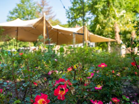 't Landgoed Baars - Camping Steenwijkerland