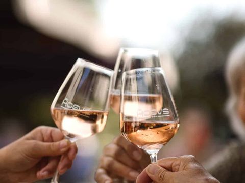 Zicht op Twente - Camping Hof von Twente