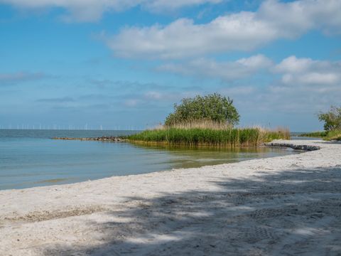 EuroParcs Hindeloopen - Camping Südwest-Friesland - Image N°15