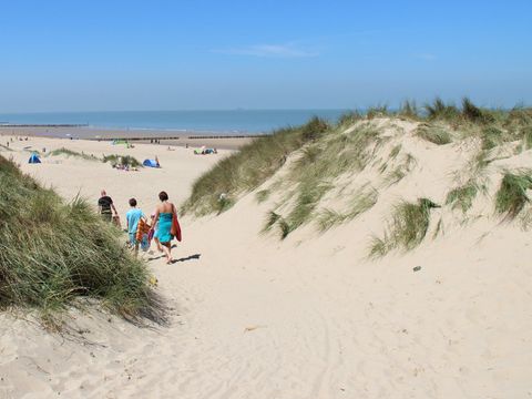 Molecaten Park Waterdunen - Camping Sluis - Image N°30