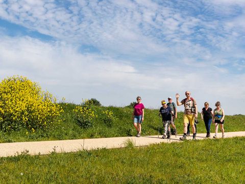 Molecaten Park Waterdunen - Camping Sluis - Image N°21