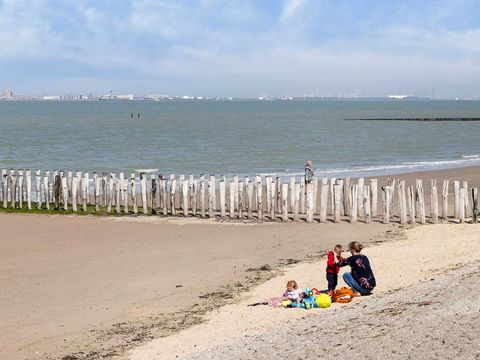 Molecaten Park Waterdunen - Camping Sluis - Image N°20