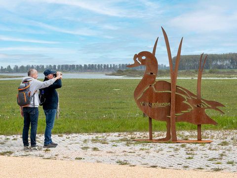 Molecaten Park Waterdunen - Camping Sluis - Image N°22