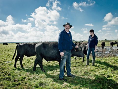 Vodatent Camping de Waterbuffelfarm  - Camping Steenwijkerland