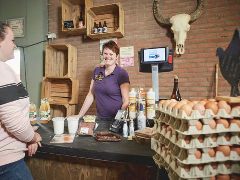 Vodatent Camping de Waterbuffelfarm  - Camping Steenwijkerland - Image N°5